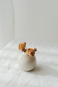 Kaboompics - Dried Roses in a Round Ceramic Vase for Soft Neutral Home Styling