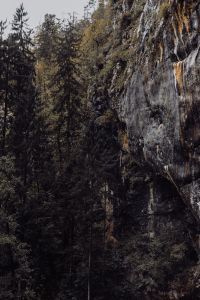Kaboompics - Predjama castle at the cave mouth in Postojna, Slovenia