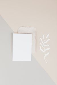 Kaboompics - Blank White Card with White Botanical Cutout