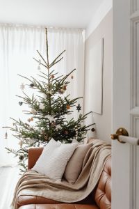 Kaboompics - Decorated Christmas Tree in Bright Living Room