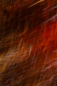 Kaboompics - Dark Red Leaves Motion Blur Abstract Background