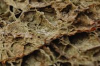 Kaboompics - Soft-Focus Pale Beige Stone Layers with Weathered Texture Detail