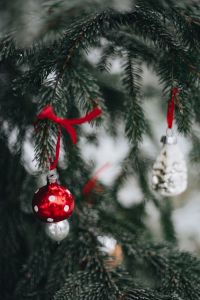 Kaboompics - Red Glass Bell Ornament on a Christmas Tree