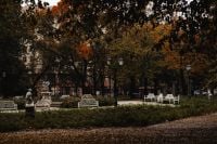 Kaboompics - Formal City Park Garden with White Benches in Autumn