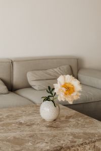 Kaboompics - Peach Flower in Speckled Vase on Marble Table