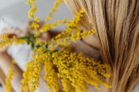 Kaboompics - Soft-Focus Goldenrod and Blonde Hair for Autumn Beauty Campaigns