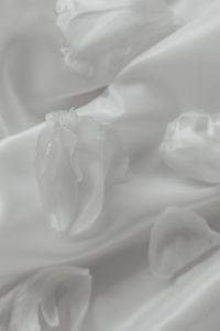 Kaboompics - Pale Flower Petals on Folded White Fabric, Soft Floral Background