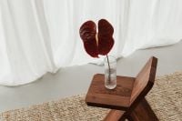 Kaboompics - Blooming Flower in Vase on Wooden Chair - A Charming Still Life Collection