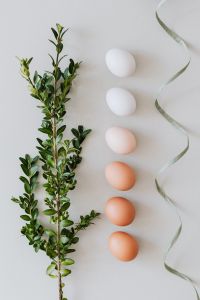 Kaboompics - Vertical Easter Still Life of Brown and White Eggs, Boxwood and Flowing Green Ribbon