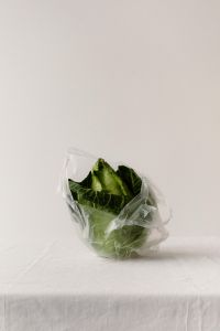 Cabbage in Plastic Produce Bag, Minimal Grocery Still Life