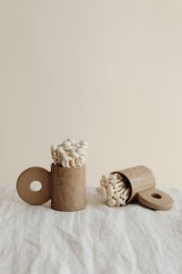 Kaboompics - White Mushroom and Decorative Vessel Still Life