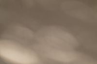 Kaboompics - Soft Shadow Gradient on Greige Background