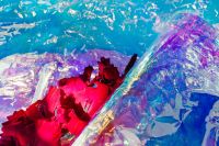 Kaboompics - Red Flowers Beneath Holographic Foil for Dramatic Floral Editorials