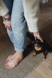 Kaboompics - Petting the little cute dog