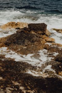 Kaboompics - Sea Foam Around Broad Sunlit Shore Rocks