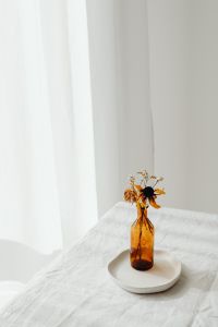 Kaboompics - Dried Flowers in Amber Vase on Ceramic Tray for Sunlit Interior Inspiration