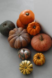 Kaboompics - Close-Up Mixed Autumn Pumpkins