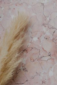 Kaboompics - Pink marble background and pampas grass