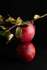 Kaboompics - Red Apple With Autumn Leaves Reflected on Black Surface
