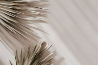Kaboompics - Palm Fronds in Opposite Corners on Warm Beige Surface
