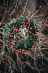 Kaboompics - Fresh Evergreen Wreath with Red Holly Berries