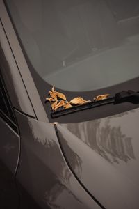 Kaboompics - Fallen Autumn Leaves Collected on a Car Windshield Wiper