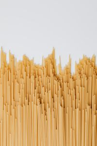 Kaboompics - Upright Spaghetti Strands with White Copy Space, Vertical Pasta Background