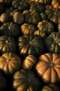 Kaboompics - Mottled Green Heirloom Pumpkins in Warm Light