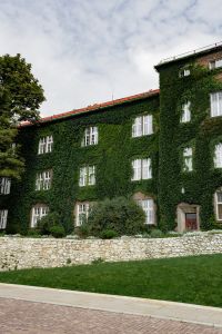 Kaboompics - Wide Ivy-Covered Historic Building in Krakow, Poland