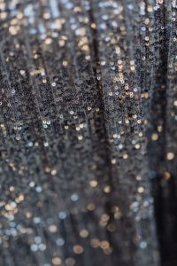 Kaboompics - Sequin Dress
