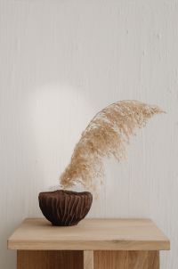 Kaboompics - Single Pampas Stem in Textured Brown Vase on Light Oak Console, Neutral Wall Background