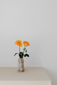 Kaboompics - Single Orange Rose in a Sculptural White Vase on a Beige Table with Minimal Copy Space