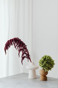 Kaboompics - Green Hydrangea with Red Amaranthus on Marble