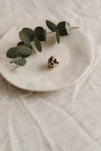 Kaboompics - Eucalyptus And Quail Egg On White Ceramic Plate