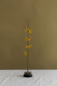 Kaboompics - Yellow Flowers in Floral Frog Still Life