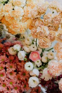 Kaboompics - Ranunculus, buttercups, spearworts and water crowfoots, Dianthus, carnation, chrysanthemum