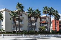 Kaboompics - Palm trees in Spain