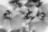 Kaboompics - Black and White Orchid Motion Blur Abstract Background