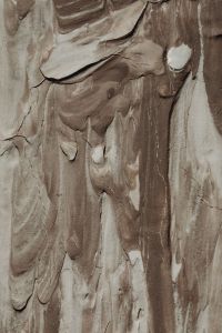 Kaboompics - Sculpted Taupe Paint Relief with Flowing Drips
