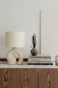 Kaboompics - Sculptural Table Lamp and Dried Vase with Beige Wall Copy Space