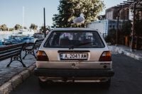 Kaboompics - Seagull on a car roof