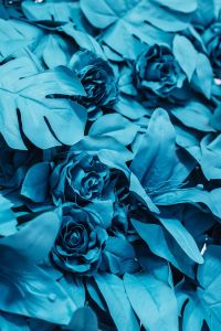 Kaboompics - Painted Fake Flowers