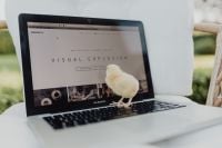 Kaboompics - Newborn little chicken and laptop