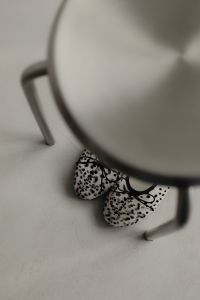 Kaboompics - Polka Dot Heels Reflected in Mirror