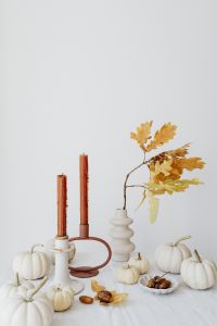 Kaboompics - Neutral Autumn Still Life with White Pumpkins, Taper Candles and Golden Oak Leaves
