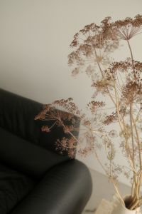 Kaboompics - Dried Floral Arrangement beside Black Leather Armchair