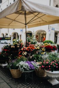 Kaboompics - Flower shop in Castelfranco Veneto, Italy