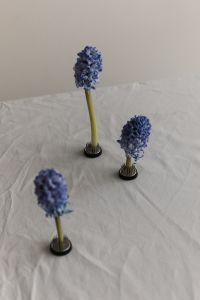 Blue Hyacinth Still Life with Kenzan on Neutral Linen Backgrounds