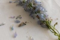 Kaboompics - Blue Flowers on White Cloth Still Life