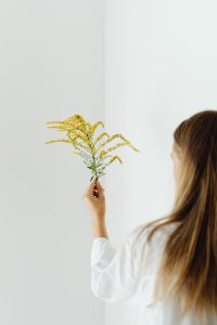 Kaboompics - Woman Raising Goldenrod Against a Pale Wall for Botanical Portraits